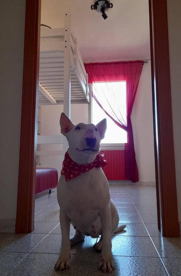 Bologna Homestay Exteriör bild